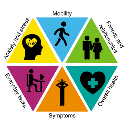 Image of a coloured logo which signifies the quality of life survey